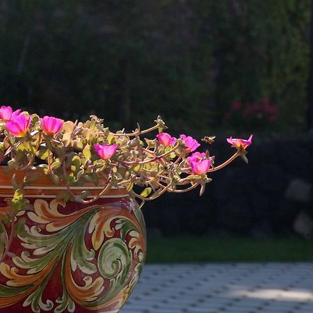 B&B Le Antiche Cisterne Tremestieri Etneo 외부 사진